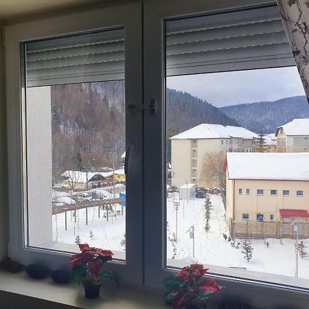 Studio 41 Azuga Zewnętrze zdjęcie