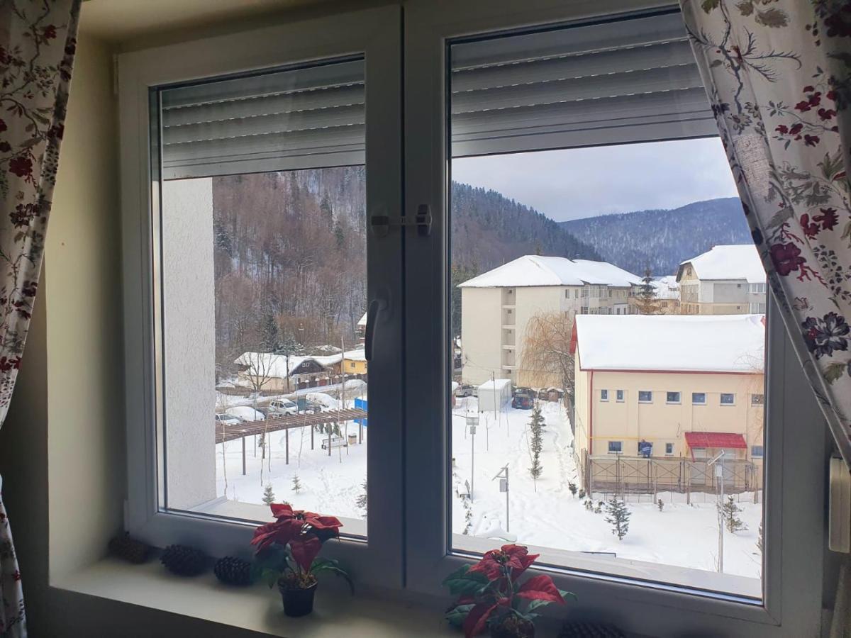 Studio 41 Azuga Zewnętrze zdjęcie