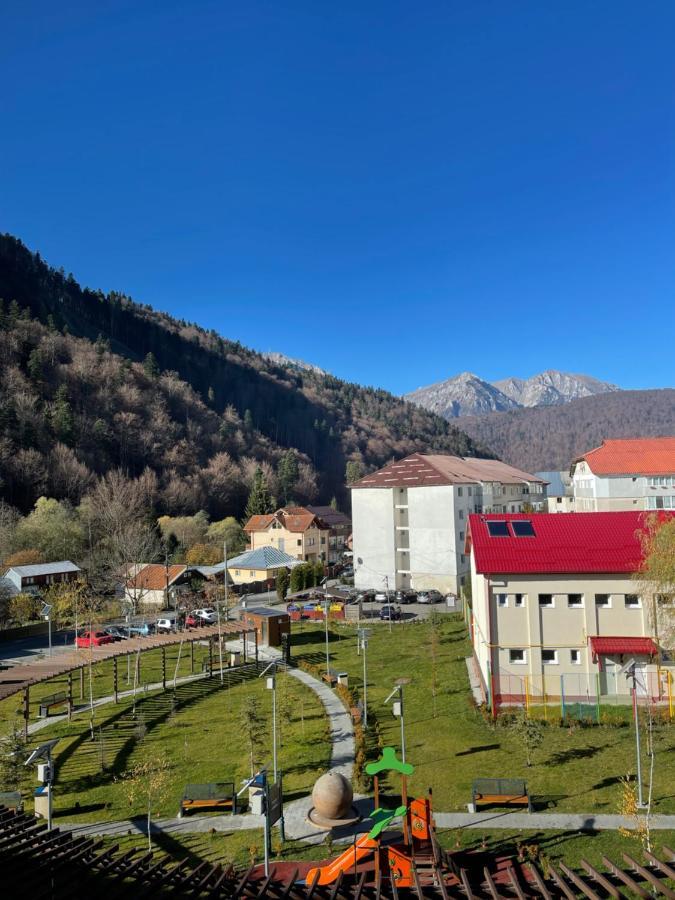 Studio 41 Azuga Zewnętrze zdjęcie
